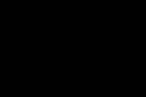 សិចម៉ាក់គ្រោងកូនប្រុស